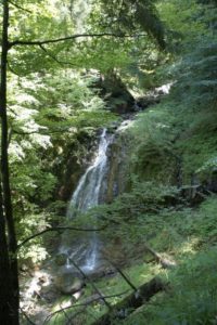 Wasserfall im Tobel
