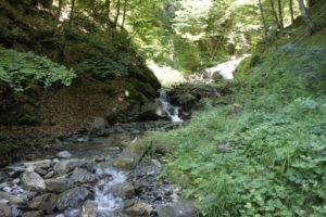 Lauschiger Bach
