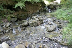 Lauschiger Bach