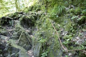 Seil gesicherter Aufstieg