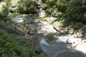 Eines der vielen Tobel unterwegs
