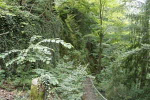 Abstieg zur Lourdesgrotte