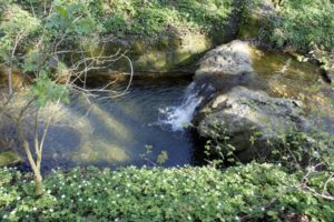 Eine "Badewanne"