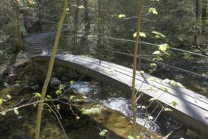 Brücke im Küsnachtertobel