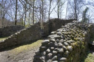 Burgruine Wulp