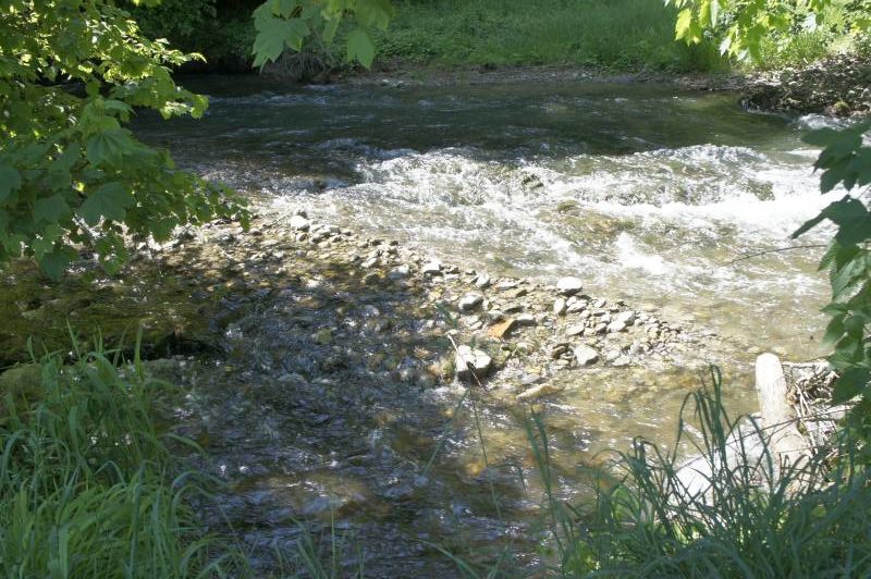 Am Aaabach zwischen Niederlenz und Wildegg