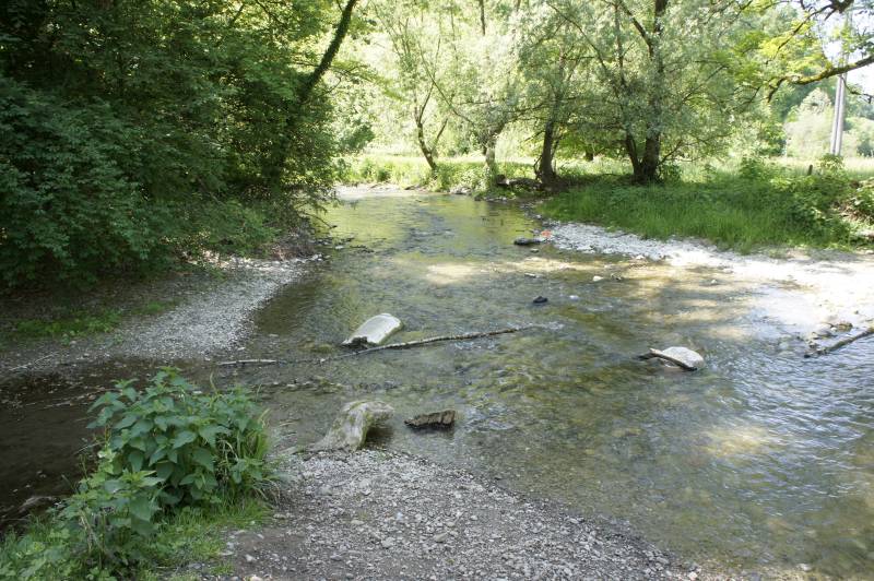 Am Aaabach zwischen Niederlenz und Wildegg