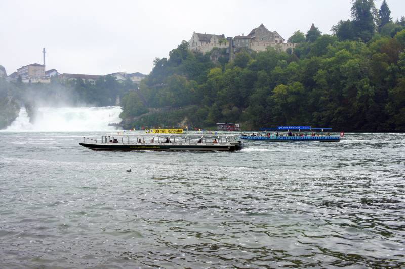 Der Rheinfall