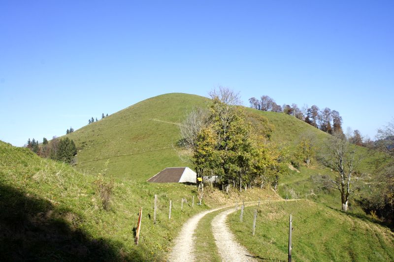 Scheidegg