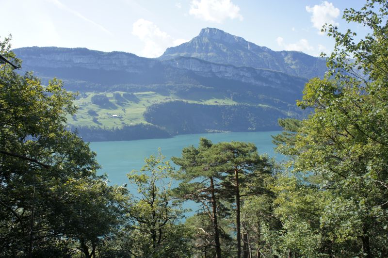 Schöner Ausblick