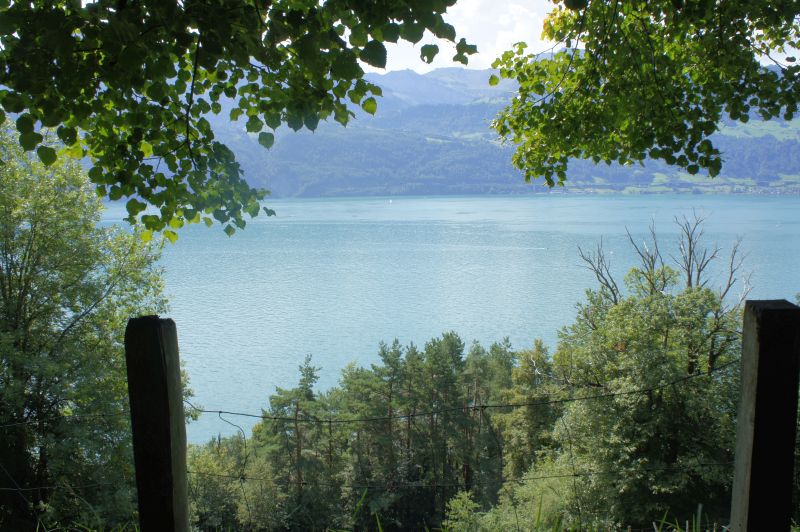 Und immer wieder: Blick auf den See