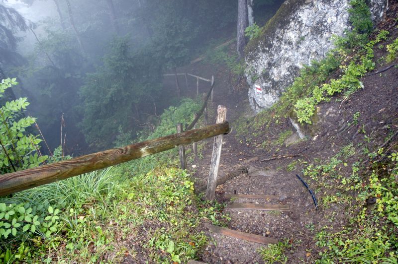 Abstieg in die Molassestufe des Lützelauerwaldes