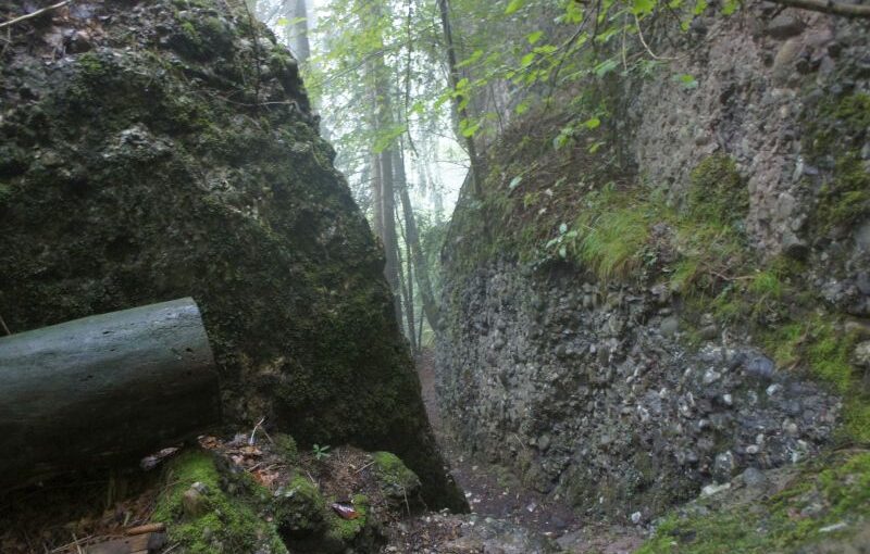 Unterwegs auf dem Waldstätterweg – Etappe 2 von Vitznau nach Küssnacht am Rigi