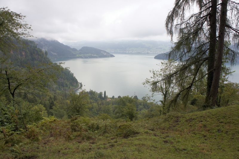 Ausblick auf den Vierwaldstättersee