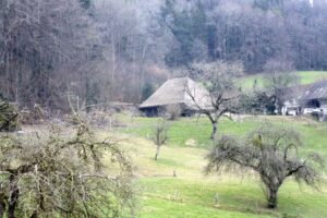 Strohdachhaus Leimbach AG