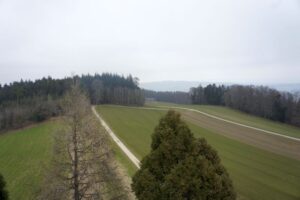 Aussicht zurück über den Homberg