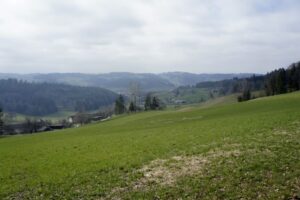 Blick über das Wynetal oberhalb von Sood
