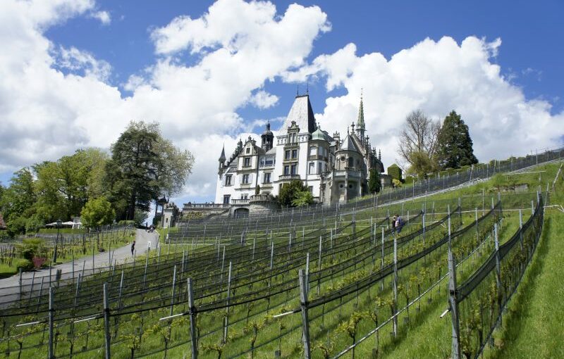 Unterwegs auf dem Waldstätterweg – Etappe 3 von Küssnacht am Rigi nach Luzern