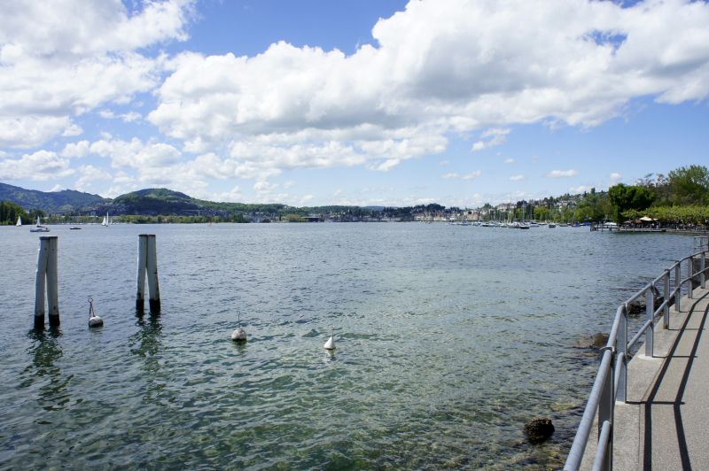 Das Luzerner Seebecken
